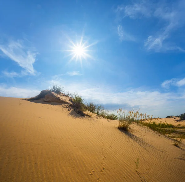 輝く太陽の下で砂漠の砂丘の斜面 — ストック写真
