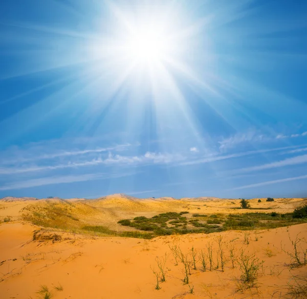 Desierto Sahdy Con Dunas Bajo Sol Brillante Caliente Fondo Desierto —  Fotos de Stock