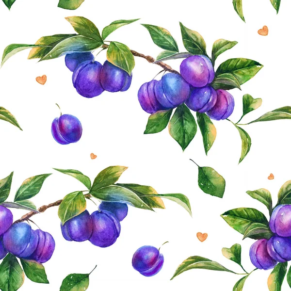 Seamless pattern with watercolor summer branches of ripe plum