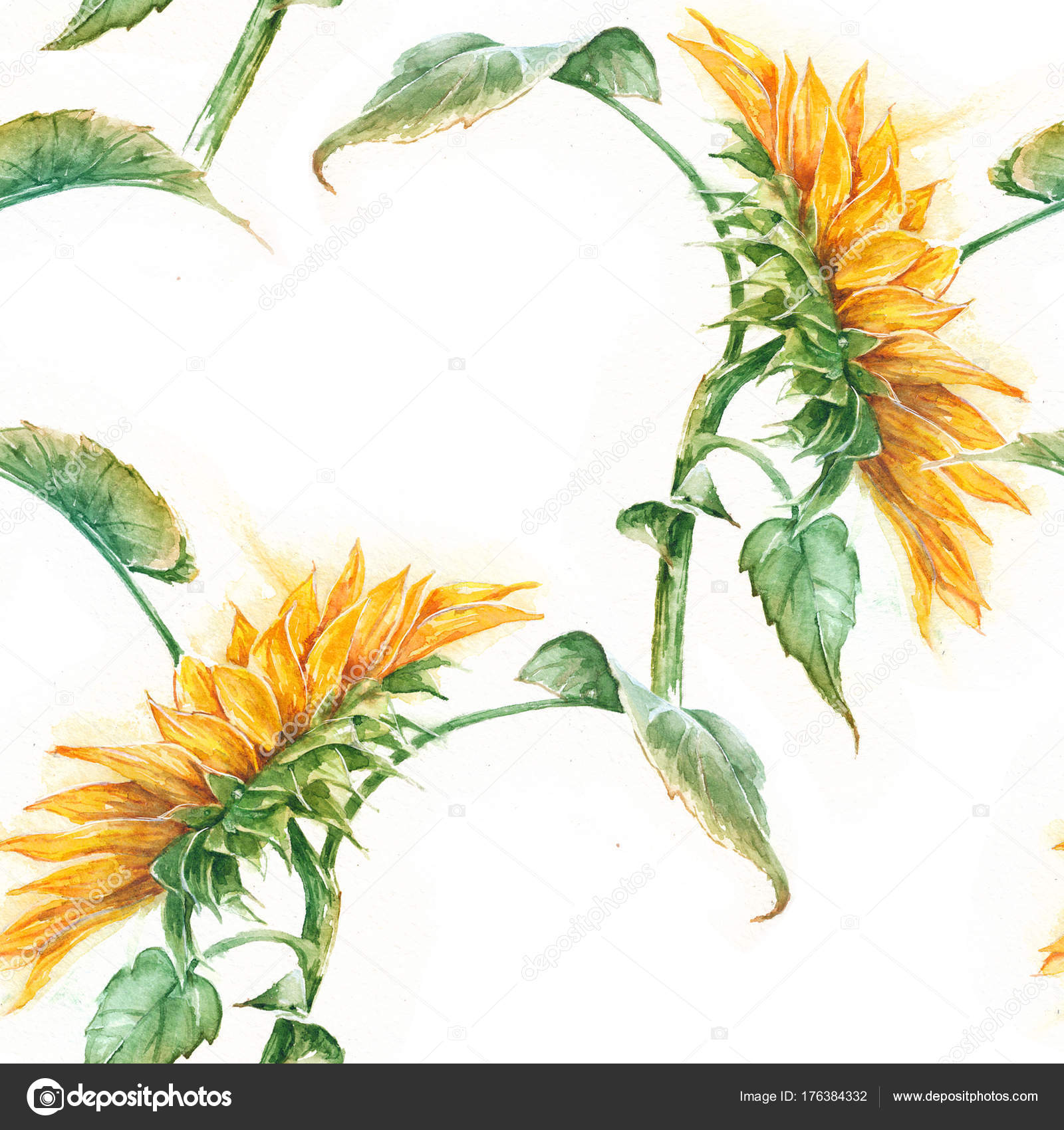 Wzór Akwarela Słonecznik Lato Kwiaty Ciepła Drewna Tekstura