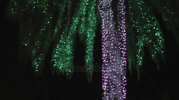 Bokeh da albero illuminato di notte . — Video Stock