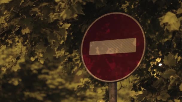 Road stop sign at night beneath foliage. — Stock Video