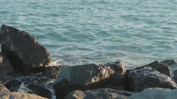 Rocky shore with rushing sea waves. — Stock Video