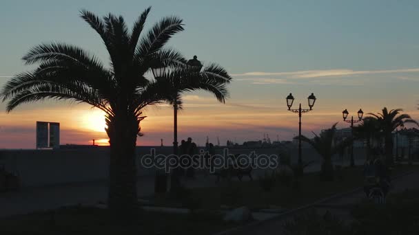 Vicolo del parco con palme, lampioni e persone al tramonto . — Video Stock