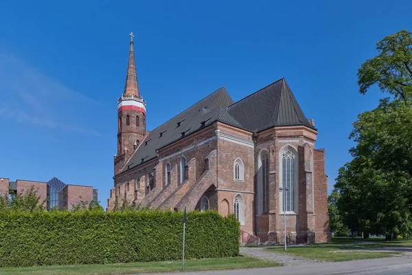 Glogau, Stiftskirche, — Stockfoto