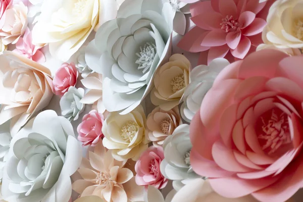 Beyaz arkaplanda pembe güller