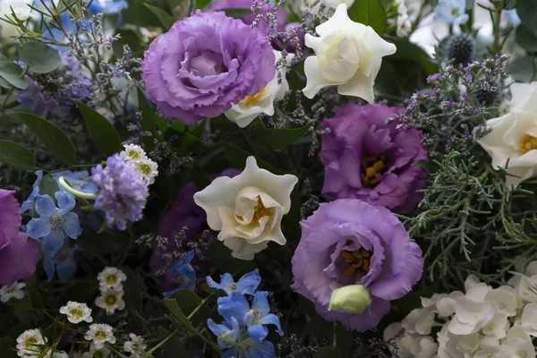 Bahçedeki çiçekler