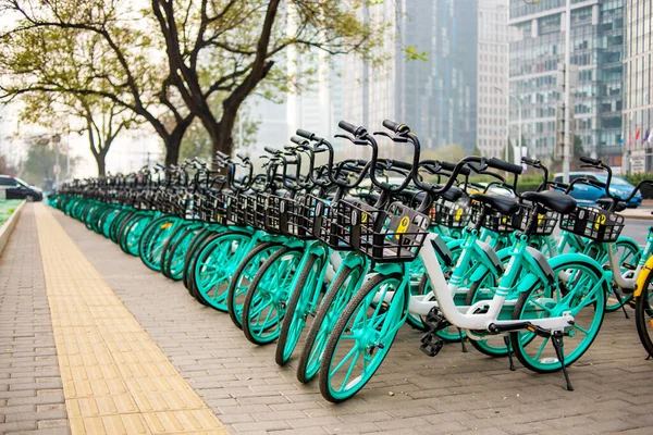 A lot of cool bicycles for rent are on the street. Shot on the background of the city and trees. Bicycles are in a long row. Wide shot.