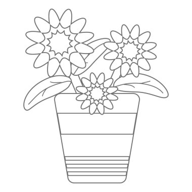 Renkli, siyah ve beyaz, kontur çizimi: büyük, güzel çiçekler, beyaz arkaplanda izole edilmiş saksı bitkileri