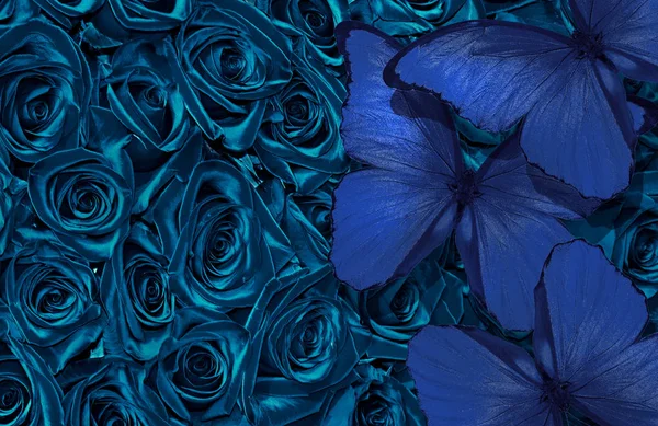 Fondo Azul Natural Mariposas Sobre Flores 2020 Color Tendencia Mariposas —  Fotos de Stock
