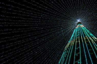 Noel ağacı gece şenlikli ışıklarda. Boşlukları kopyala
