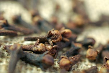 karanfil dokusu arka planı. Çuval bezine karanfil yakın plan. seçici odak