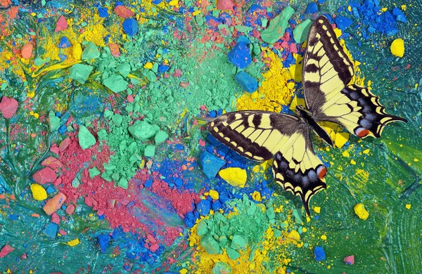 Papillon Multicolore Lumineux Sur Fond Pastel Coloré Concept Couleur Multicolore — Photo