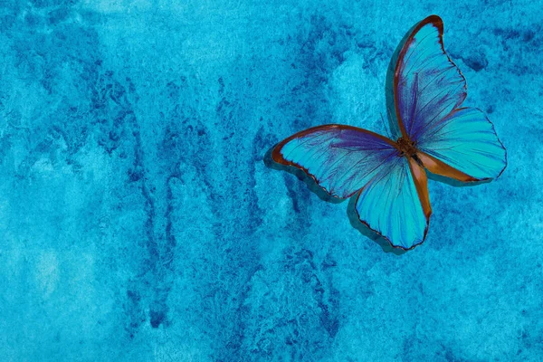 蓝色的形态蝴蝶 摘要蓝色水彩背景 蓝色的抽象背景 湿水彩纸 — 图库照片