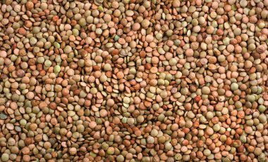 Mercimek dokusu arka planı. en üstteki görünüm