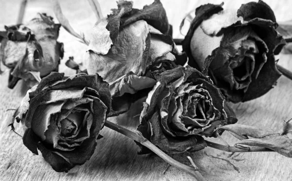 Roses Sèches Sur Une Table Bois Close Noir Blanc — Photo