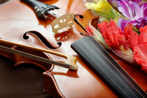 Gladiolus Violin Violin Flowers Silk Background — Stock Photo, Image