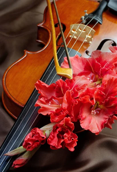 Gladiole Violon Violon Fleurs Sur Fond Soie — Photo