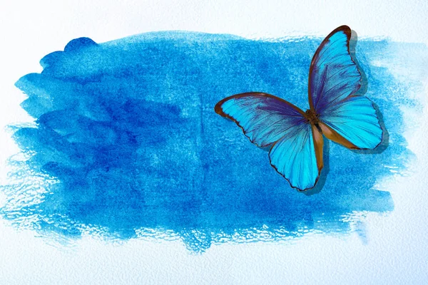Akvarel Papír Modrá Akvarel Mokrý Akvarelový Papír Abstraktní Modré Pozadí — Stock fotografie
