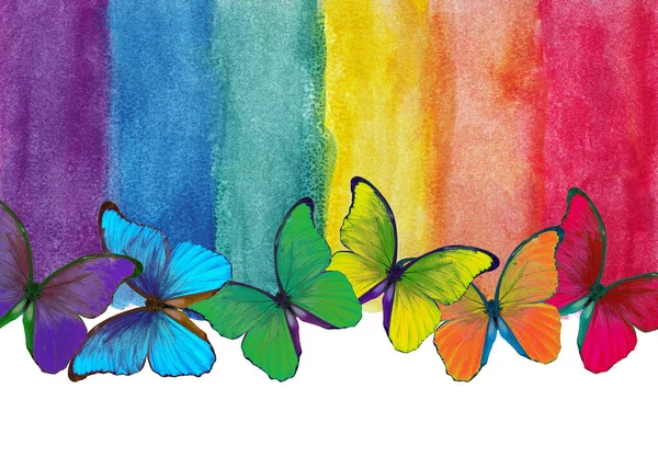 虹の色 水彩紙の質感 抽象水彩画の背景 ぬれた水彩紙の質感の背景 鮮やかなカラフルな蝶 多色の水彩絵の具 — ストック写真