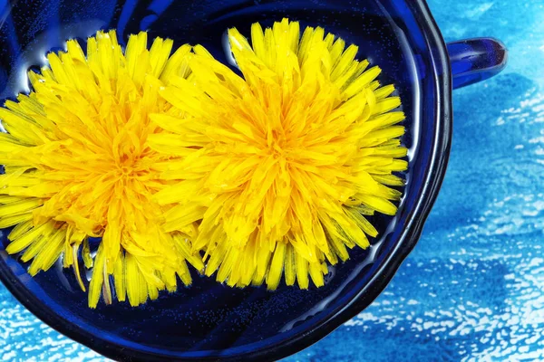 Yellow Dandelion Flowers Blue Cup Dandelion Tea Yellow Blue Natural — Stock Photo, Image