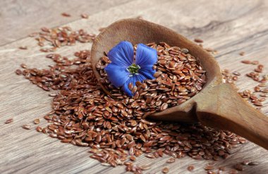 Tahta kaşıkta keten tohumu. keten çiçeği ve kuru tohumlar yakın plan.