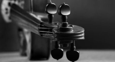 Keman yakın plan. Bir keman ve tellerin fretboard siyah ve beyaz. Boşluğu kopyala