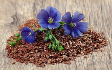 Bir beyaz üzerinde izole keten tohumu yığını. keten çiçekleri ve keten tohumları yakın plan.