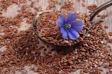 Bir beyaz üzerinde izole keten tohumu yığını. keten çiçekleri ve keten tohumları yakın plan.