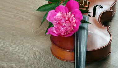 Keman ve şakayık demeti. Boşluğu kopyala