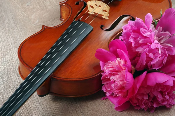 Violin Bouquet Peonies Close — Stock Photo, Image
