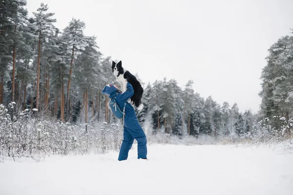 Jeune Femme Frontière Collie Dans Forêt Hiver — Photo