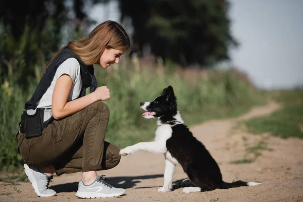 Flicka Med Gräns Collie Valp — Stockfoto