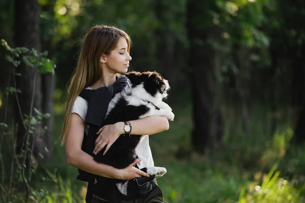 Menina Com Uma Fronteira Collie Cão — Fotografia de Stock