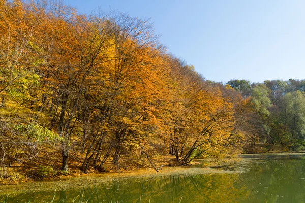 Autumn season landscape — Stock Photo, Image