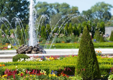 Güzel koni ağaç Rundale Park, Letonya