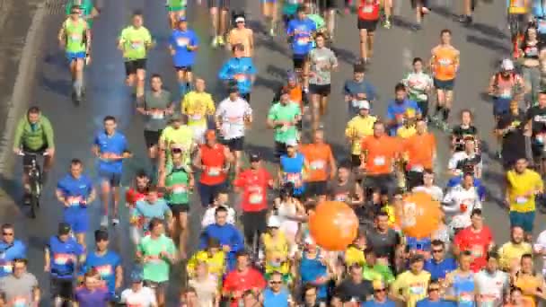 Media maratón de Kiev en Kiev, Ucrania . — Vídeo de stock