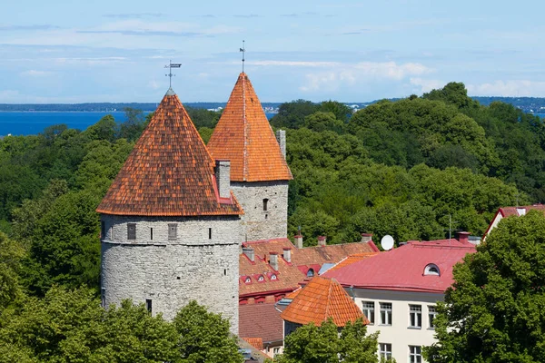 De oude stad landschap in Tallinn — Stockfoto