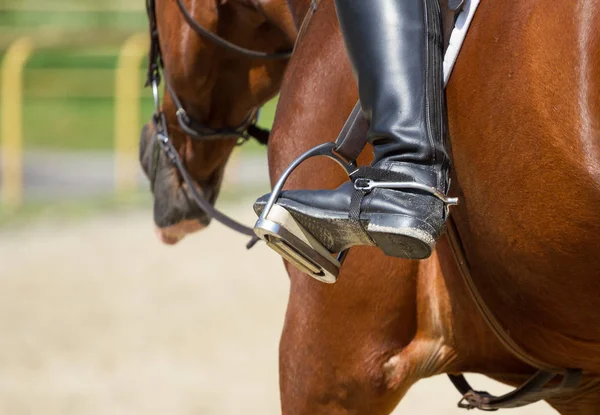 Bota de equitação de jockey — Fotografia de Stock