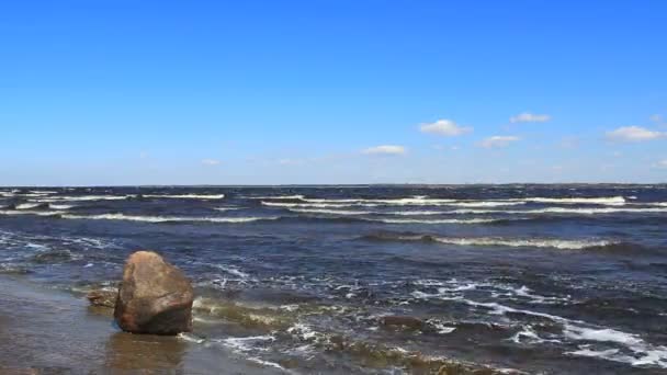 Морские волны и камень — стоковое видео