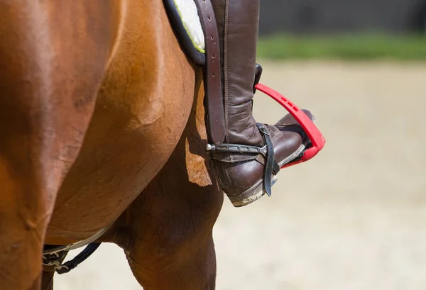 Dressage caballo y jinete —  Fotos de Stock