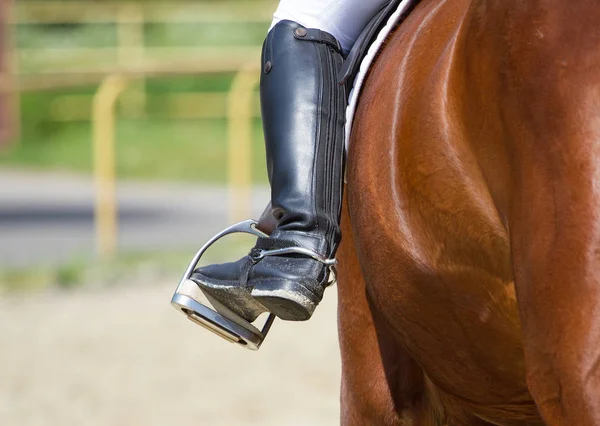 Dressurpferd und Reiterin — Stockfoto