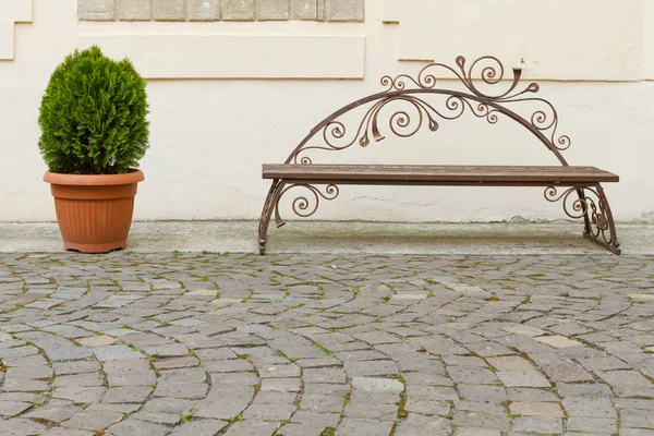 Schöne dekorative Bank und Blumentopf — Stockfoto