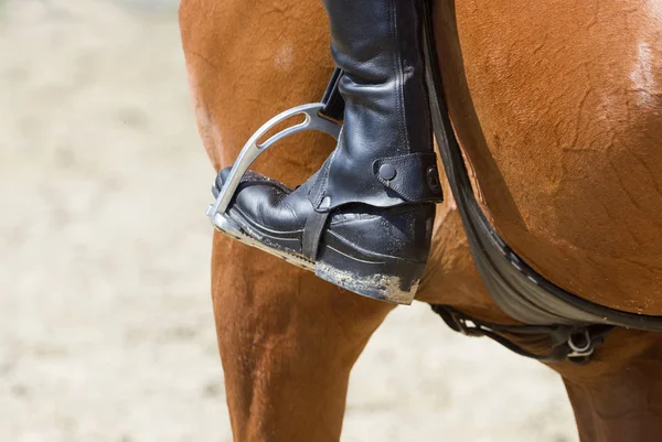 Cavalcare su un cavallo . — Foto Stock