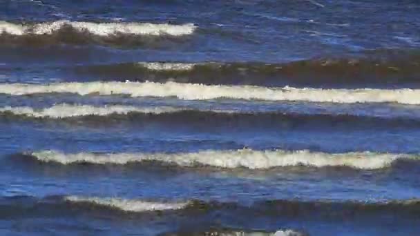 Onde sul mare — Video Stock