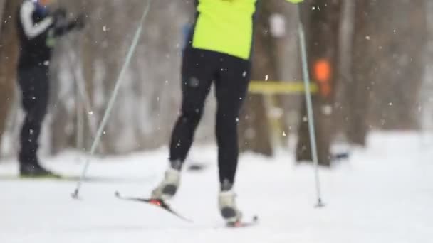 Люди Катаются Лыжах Зимнем Парке — стоковое видео