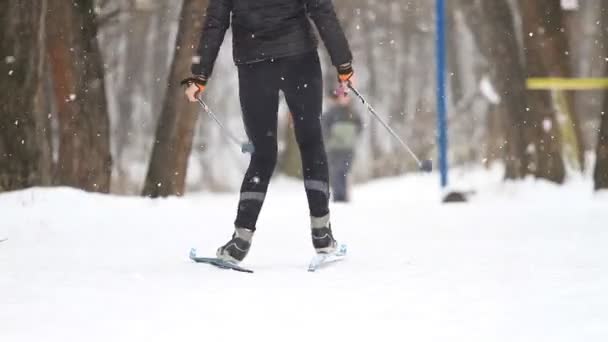 Chica Esquí Fondo Parque Invierno — Vídeo de stock