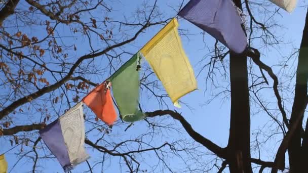 Тибетские Молитвенные Флаги Развеваются Ветру — стоковое видео