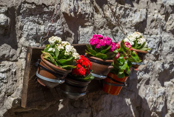 Flower pots hanger — Stock Photo, Image