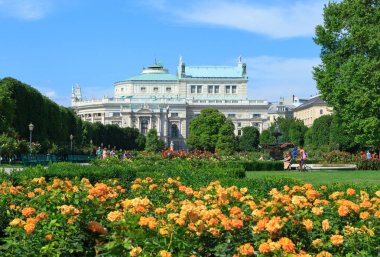 Viyana'da Volksgarten Parkı